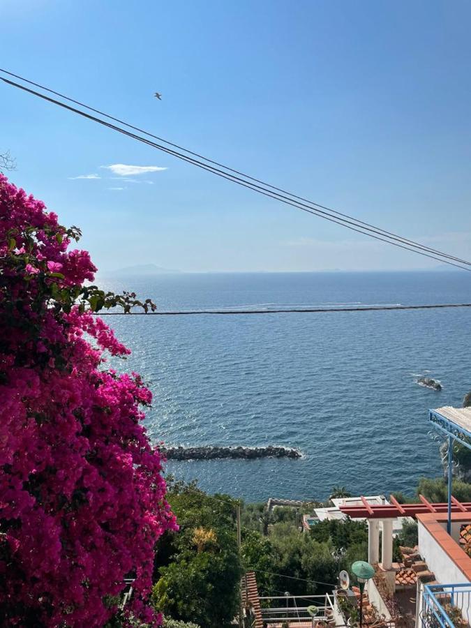 La Rosa Dei Venti Villa Massa Lubrense Dış mekan fotoğraf