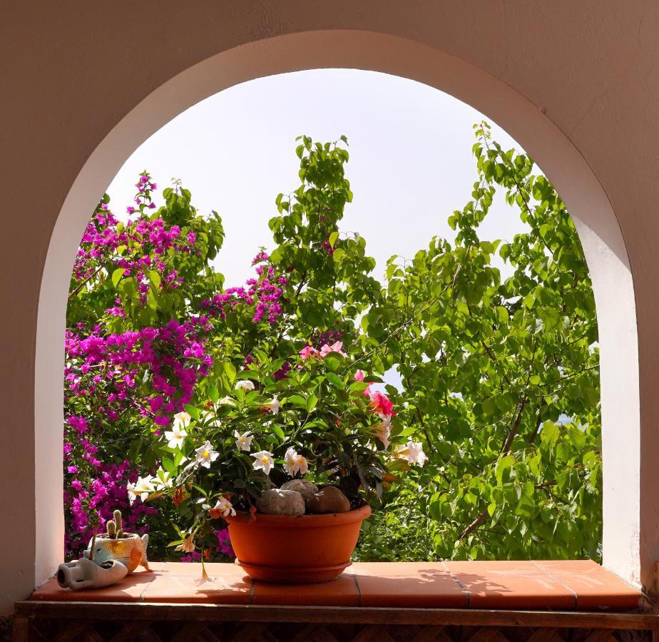 La Rosa Dei Venti Villa Massa Lubrense Dış mekan fotoğraf