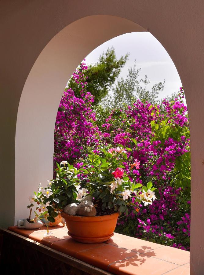 La Rosa Dei Venti Villa Massa Lubrense Dış mekan fotoğraf
