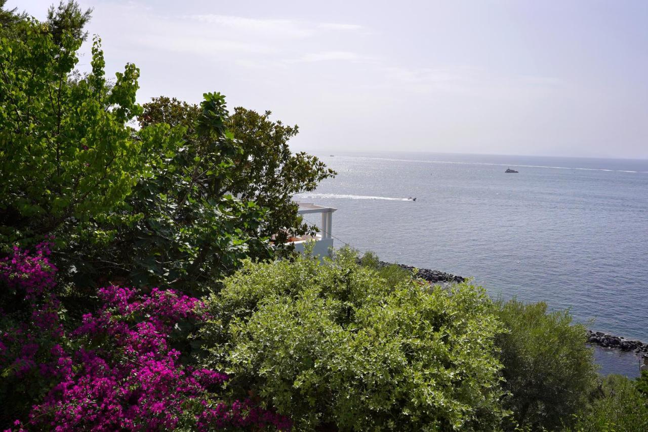 La Rosa Dei Venti Villa Massa Lubrense Dış mekan fotoğraf
