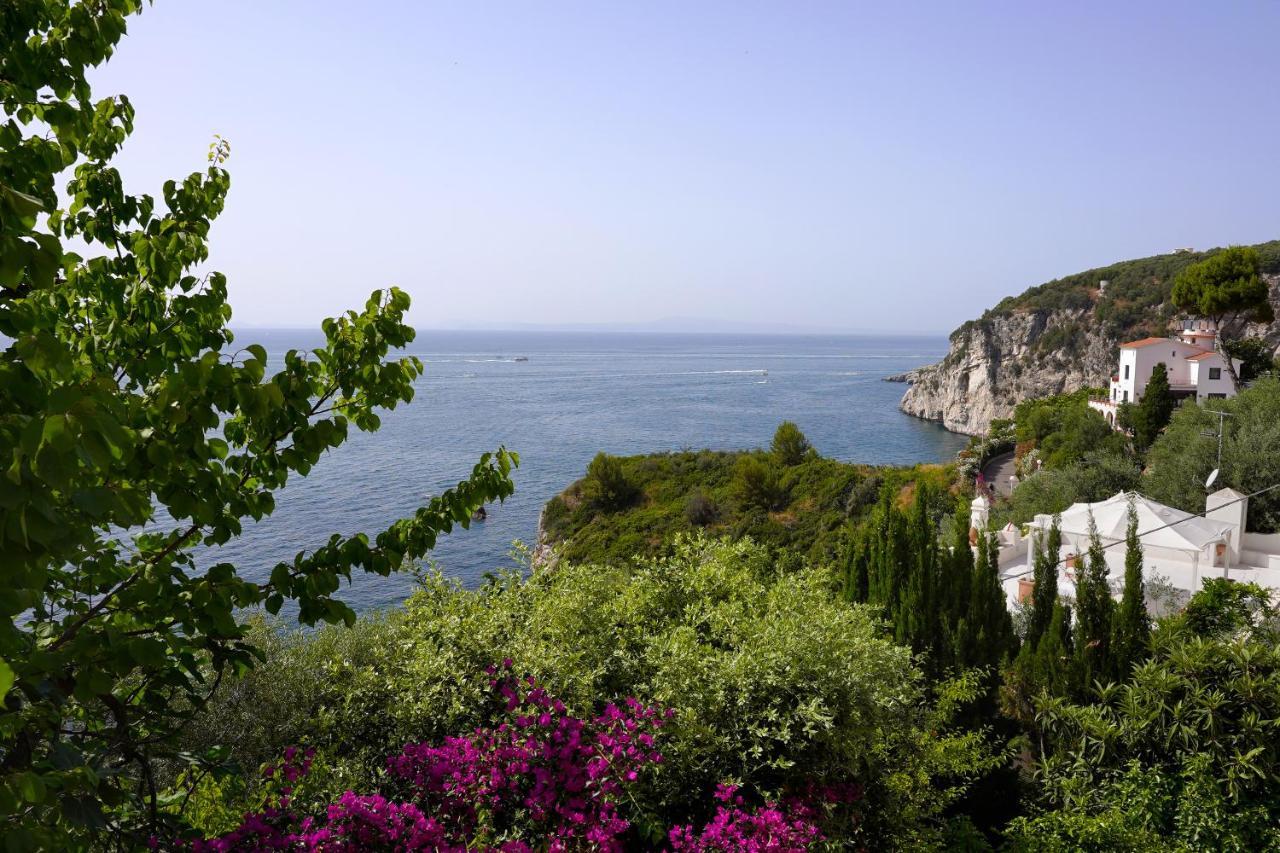 La Rosa Dei Venti Villa Massa Lubrense Dış mekan fotoğraf